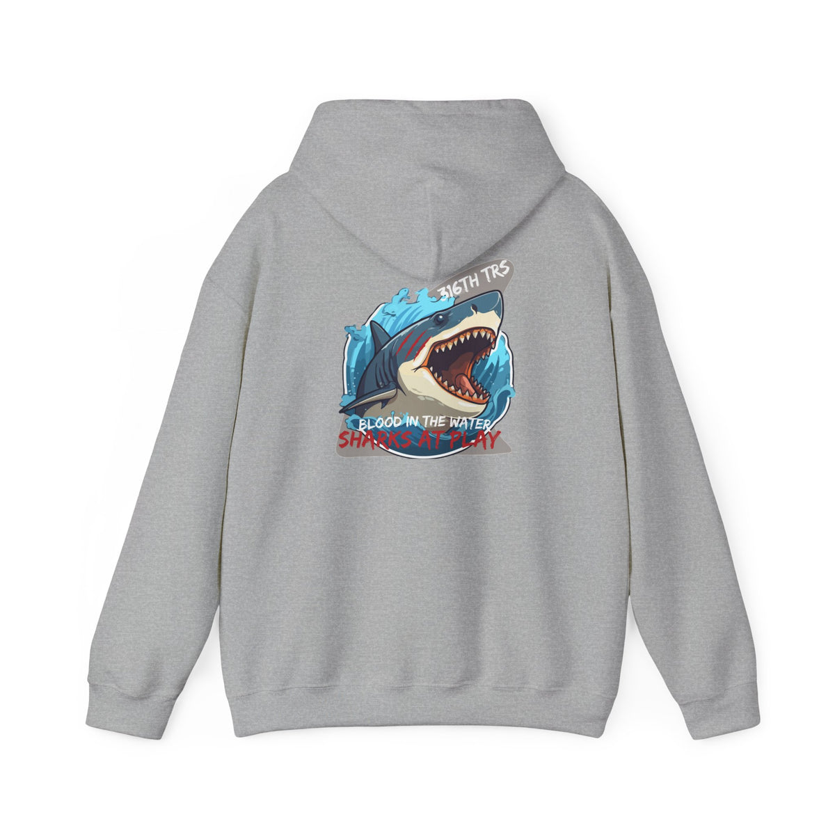 316th TRS Hoodie