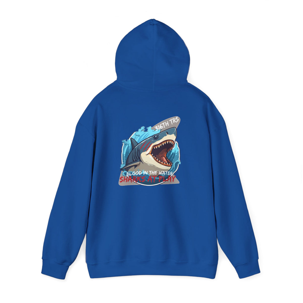 316th TRS Hoodie