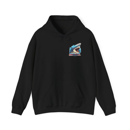 316th TRS Hoodie