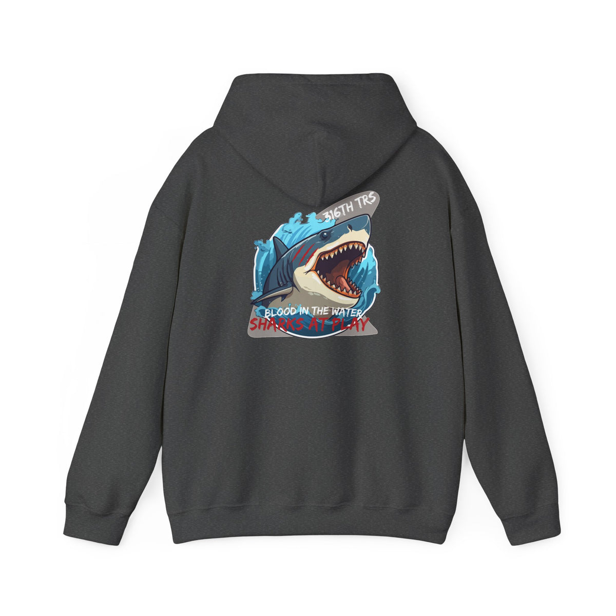316th TRS Hoodie