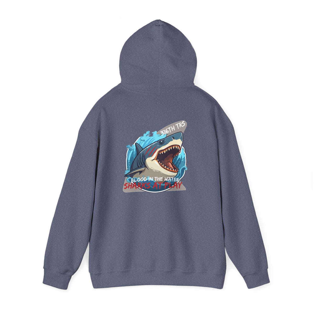 316th TRS Hoodie