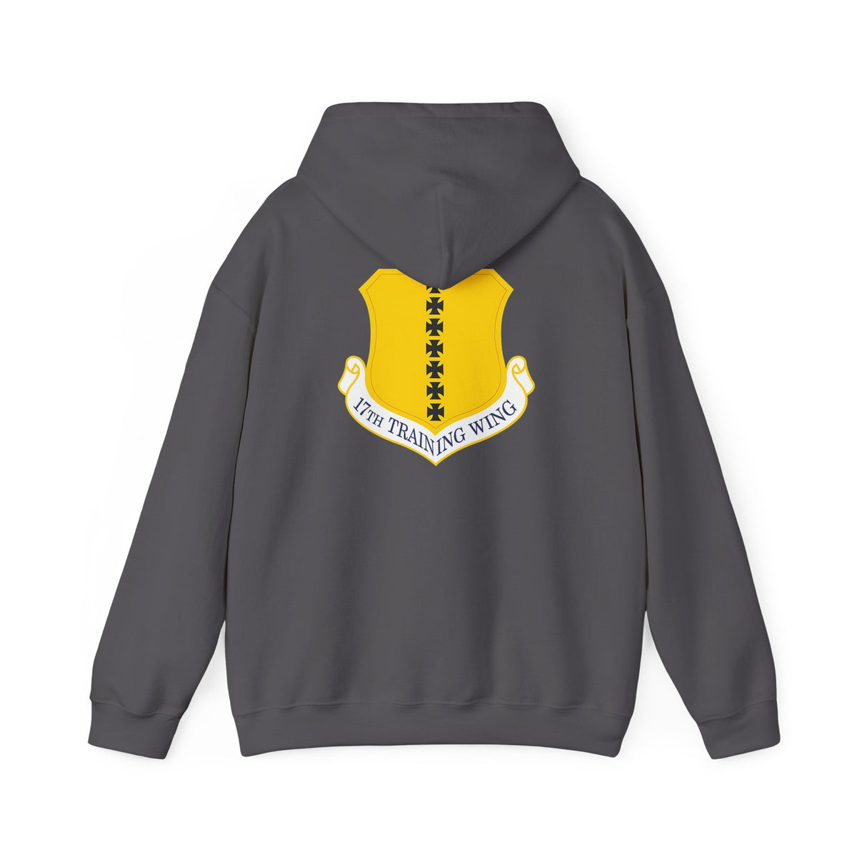 17th Training Wing Hoodie