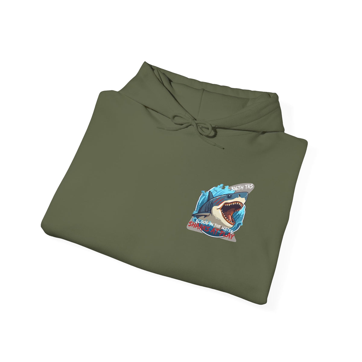 316th TRS Hoodie