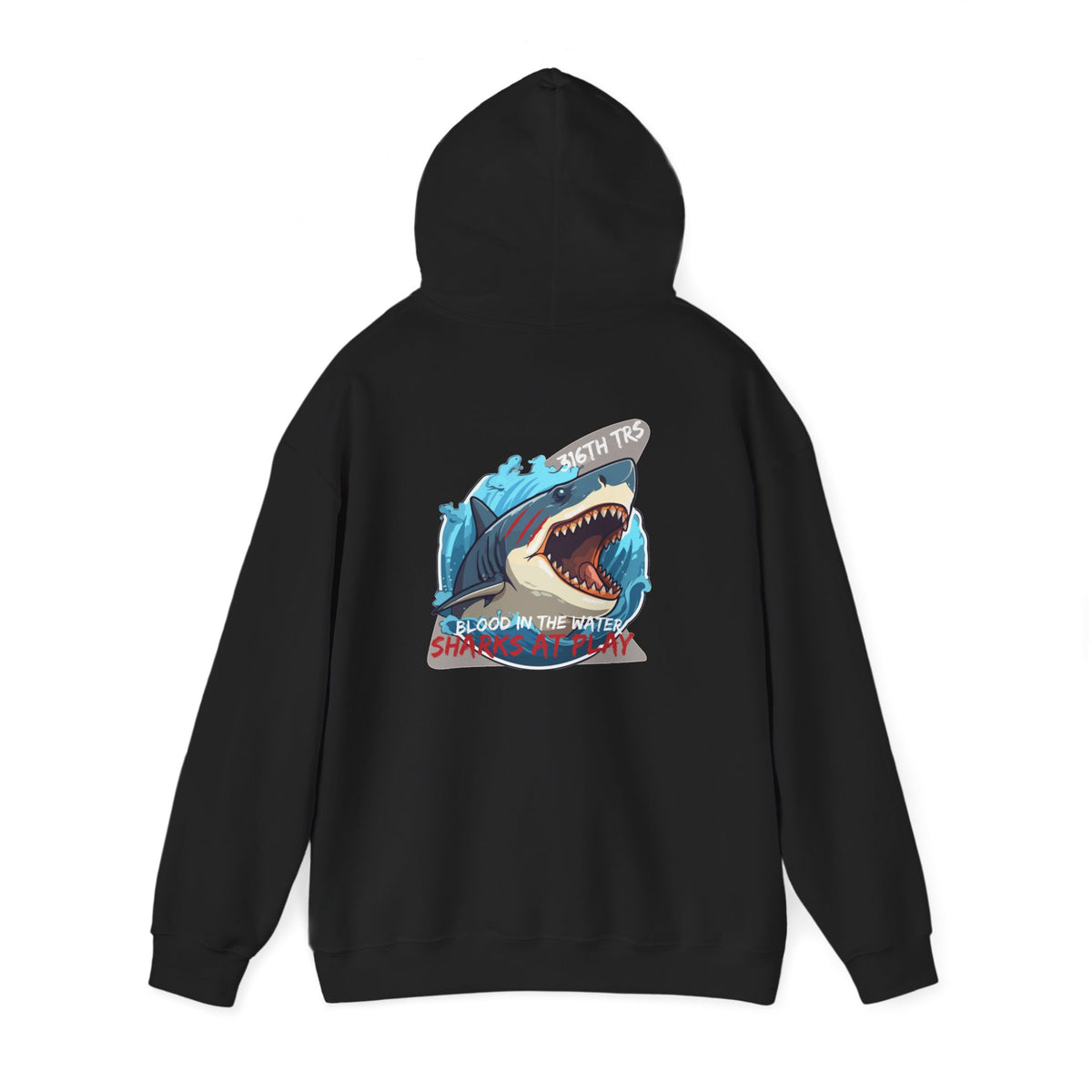 316th TRS Hoodie