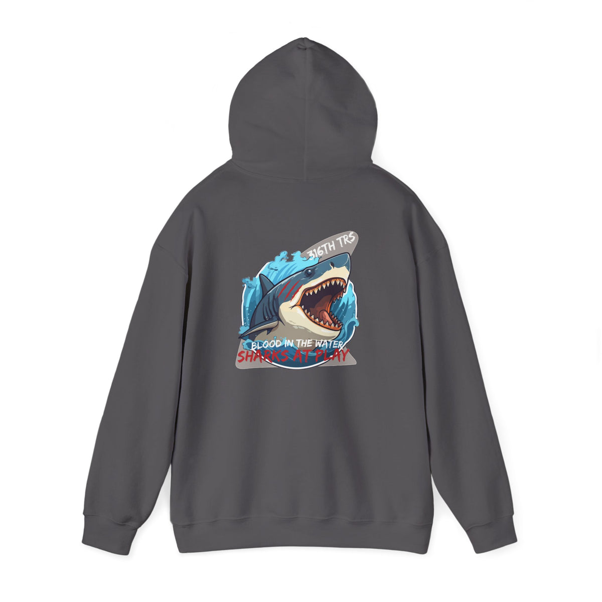 316th TRS Hoodie