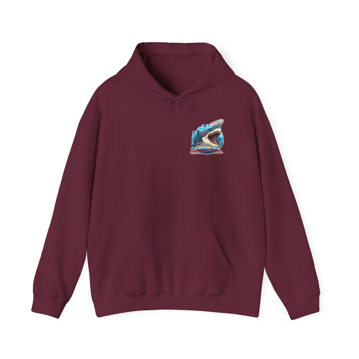 316th TRS Hoodie