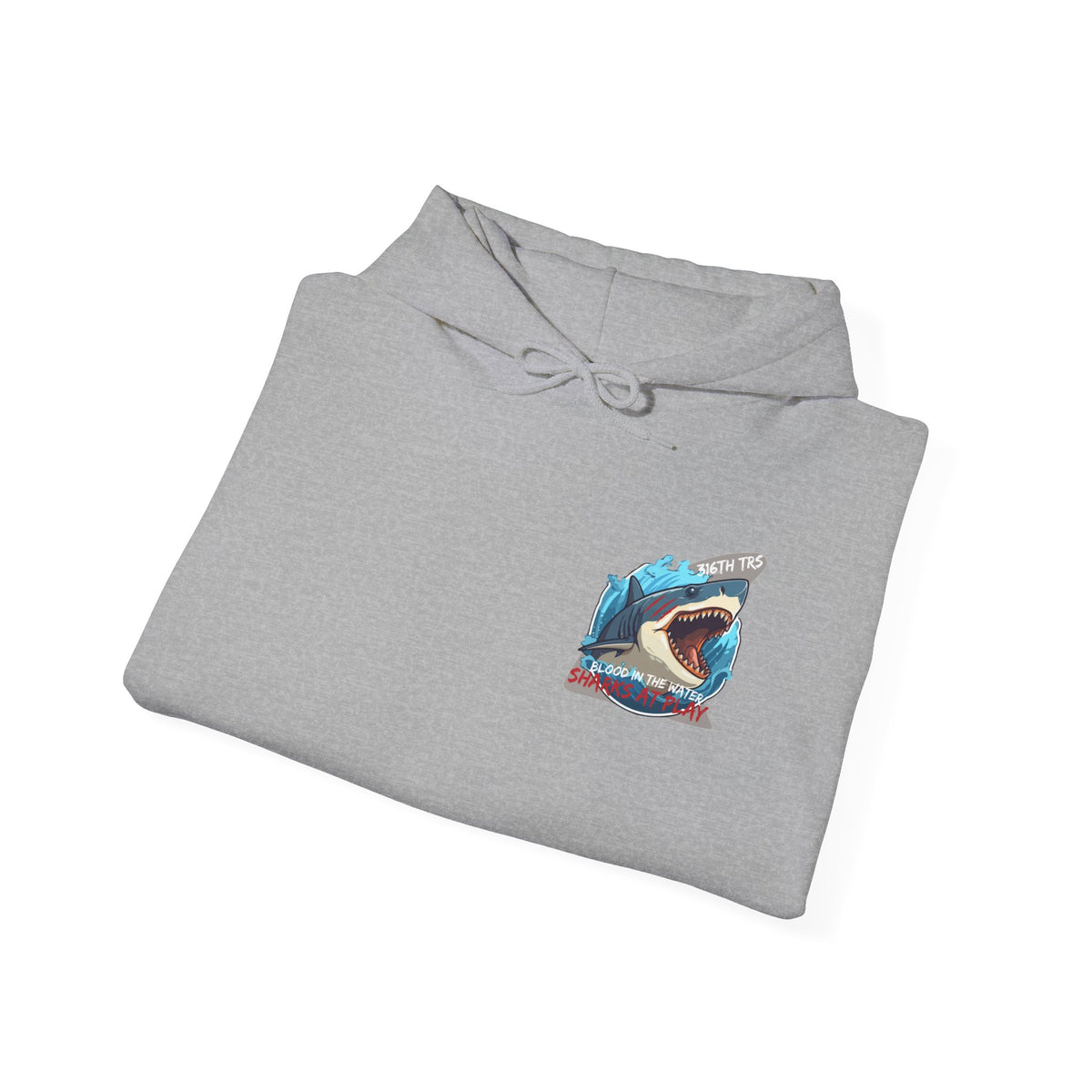 316th TRS Hoodie