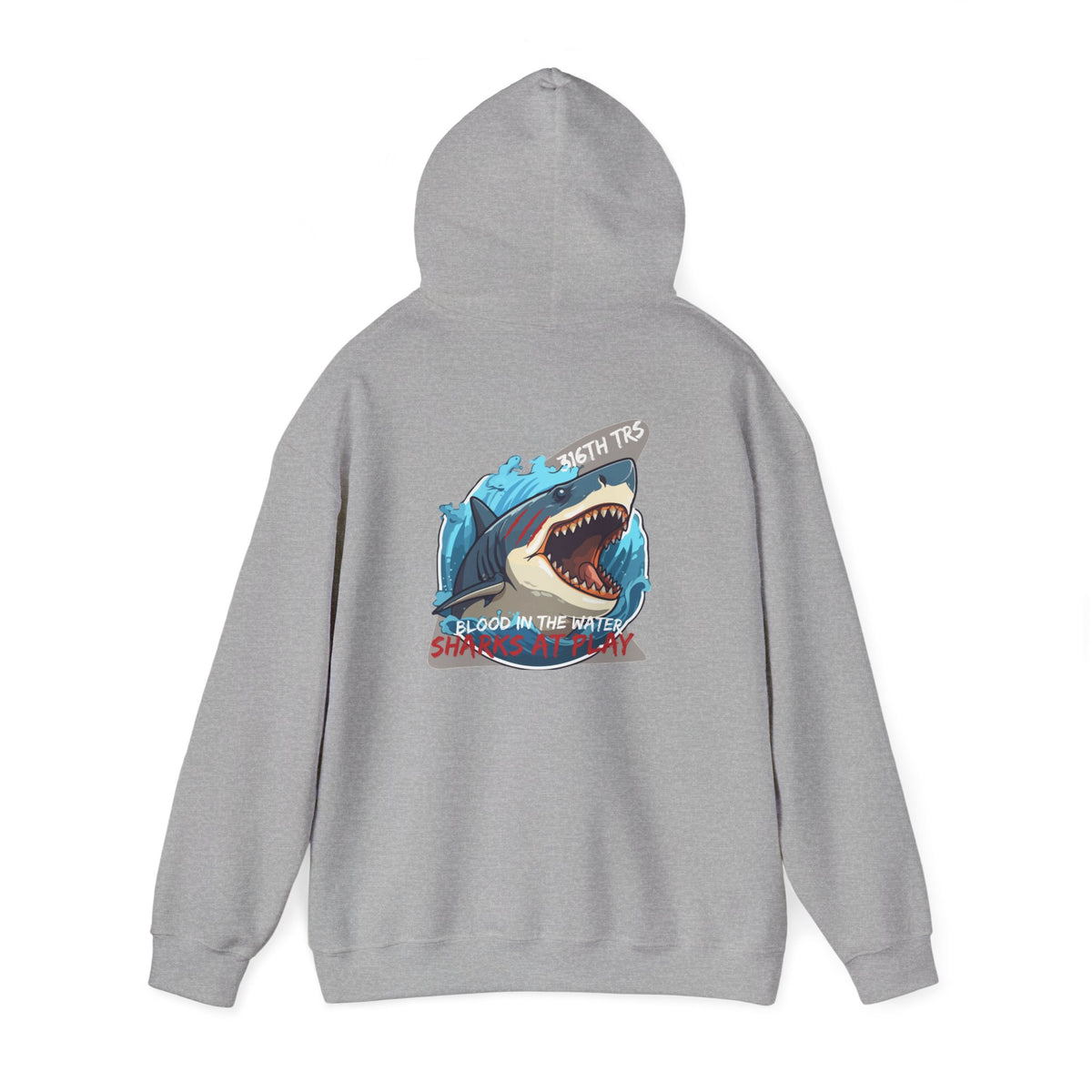 316th TRS Hoodie