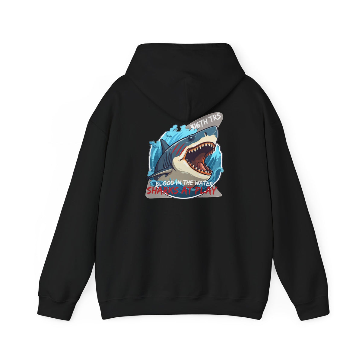 316th TRS Hoodie