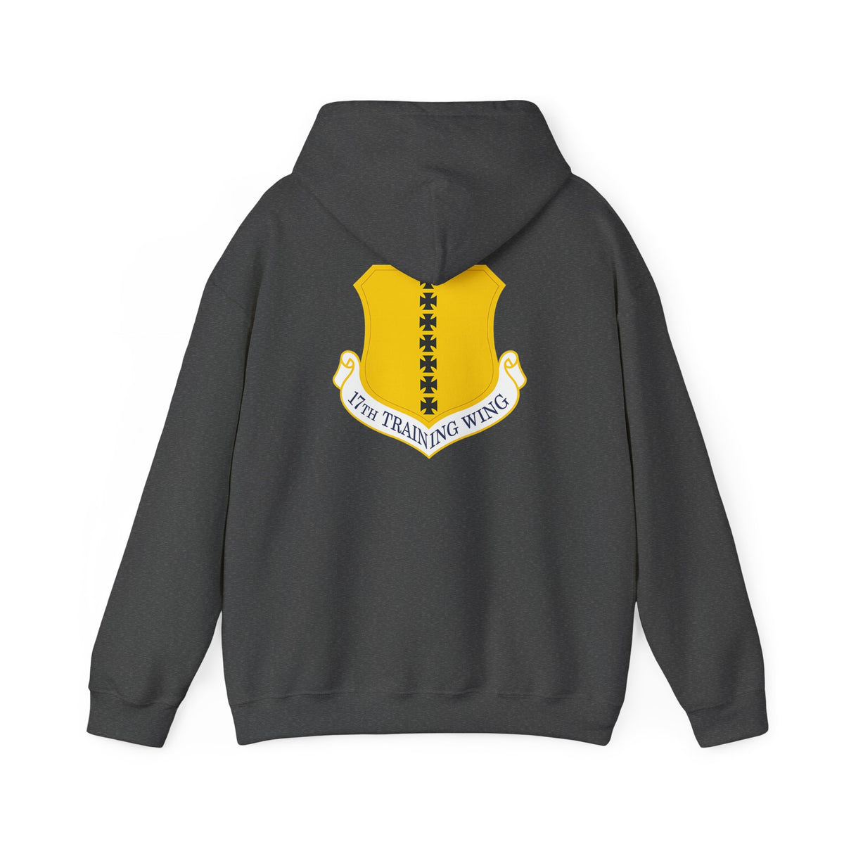 17th Training Wing Hoodie
