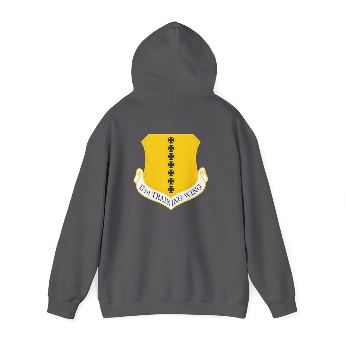 17th Training Wing Hoodie