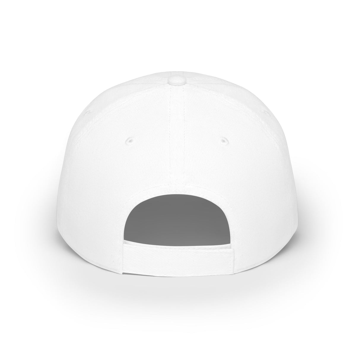 17th Training Wing Cap