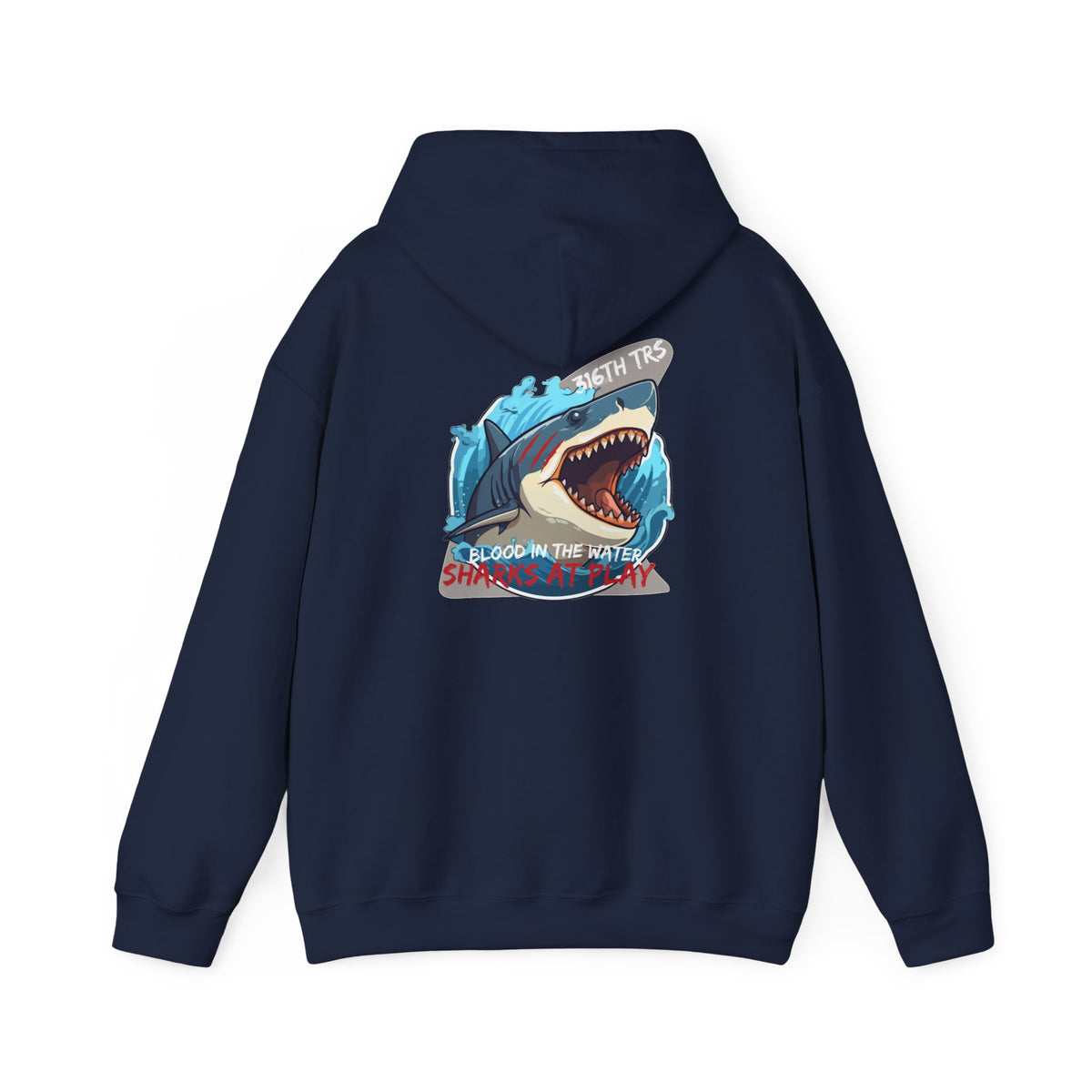 316th TRS Hoodie