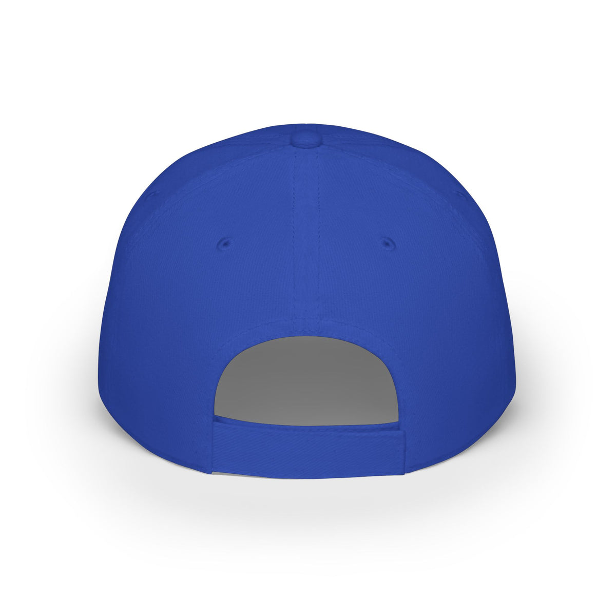315th TRS Morale Cap
