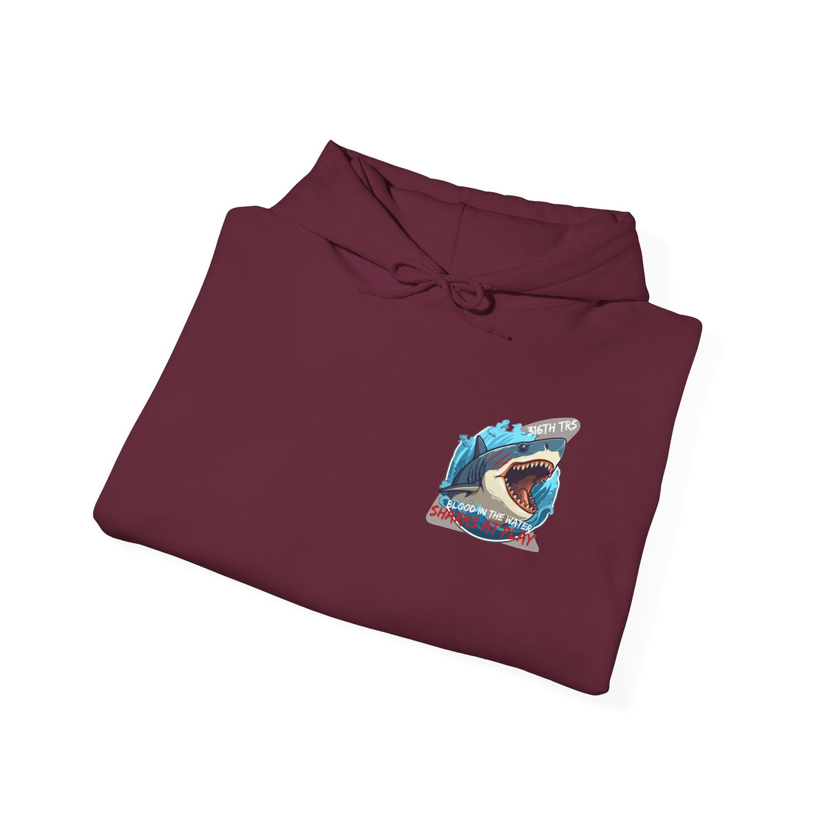 316th TRS Hoodie