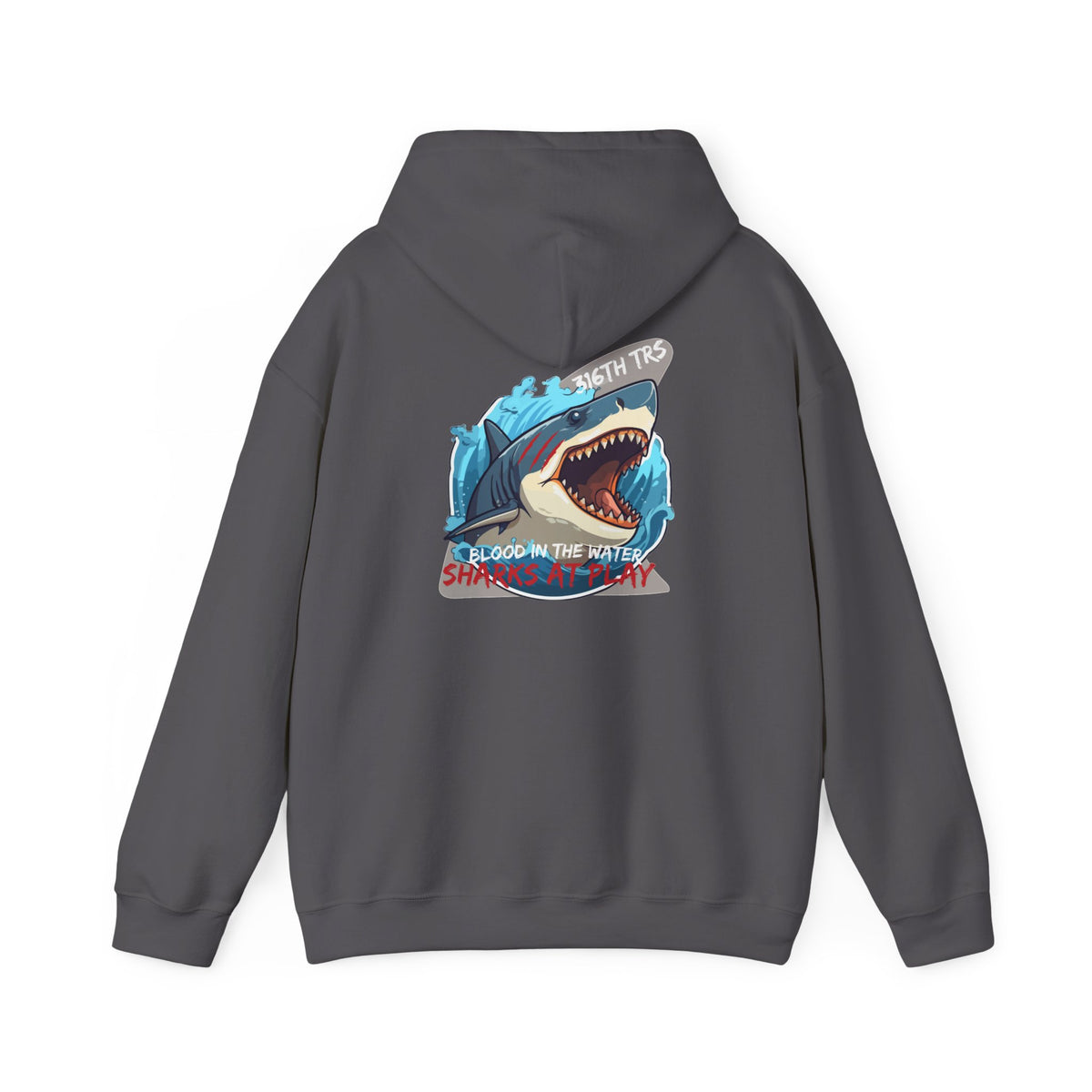 316th TRS Hoodie