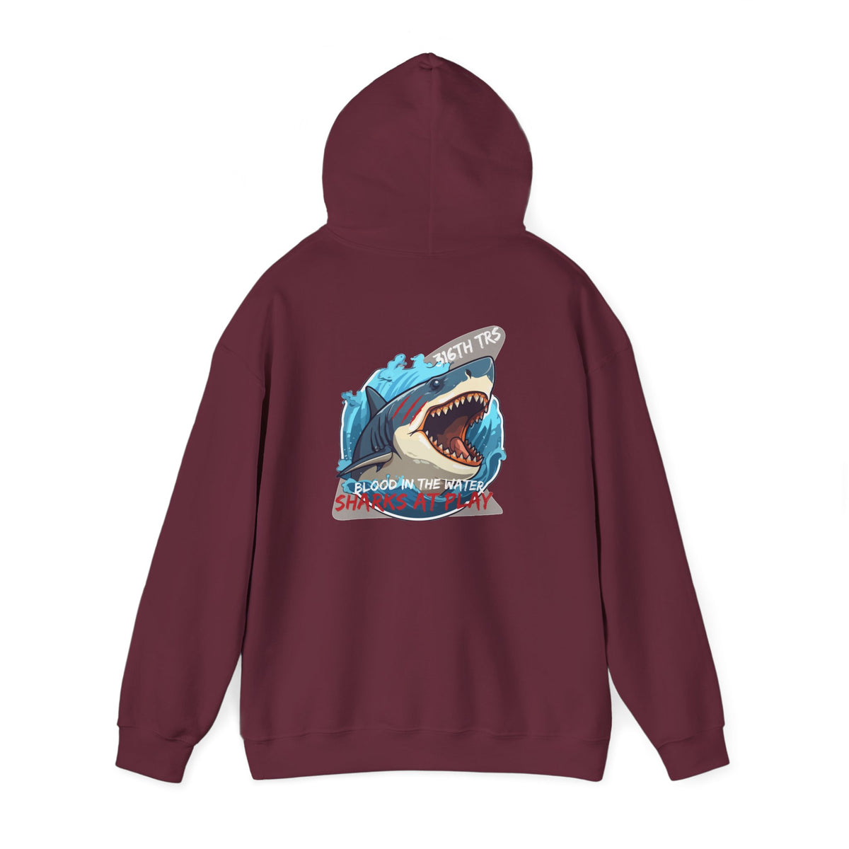 316th TRS Hoodie