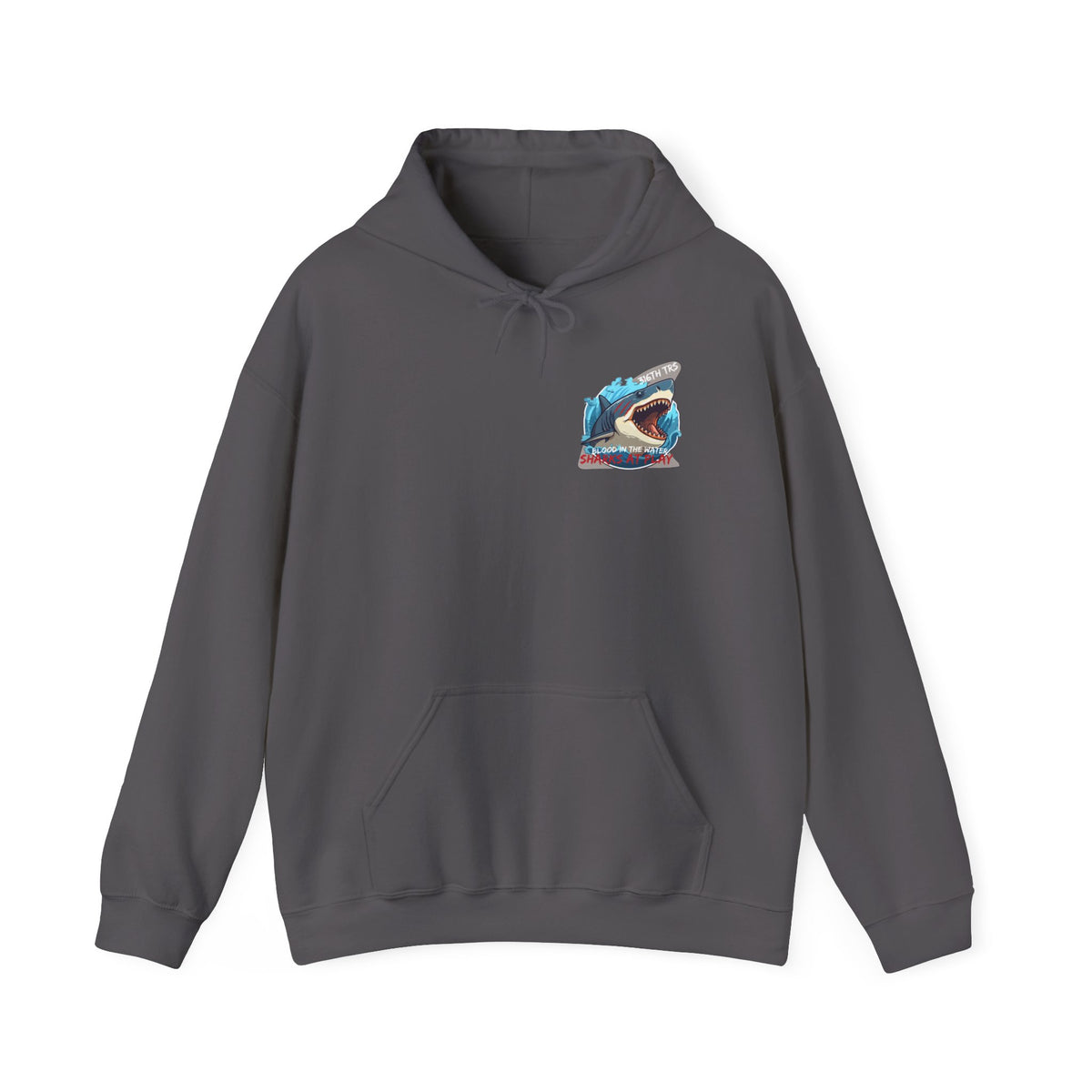 316th TRS Hoodie