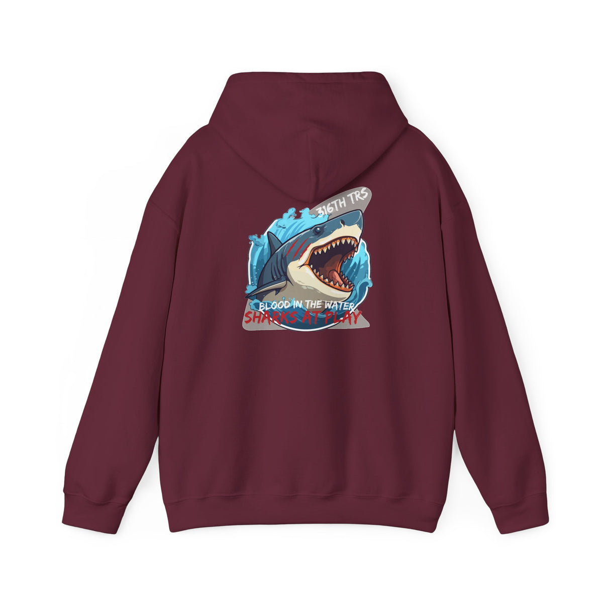 316th TRS Hoodie