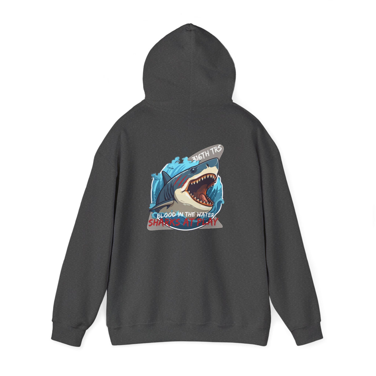 316th TRS Hoodie
