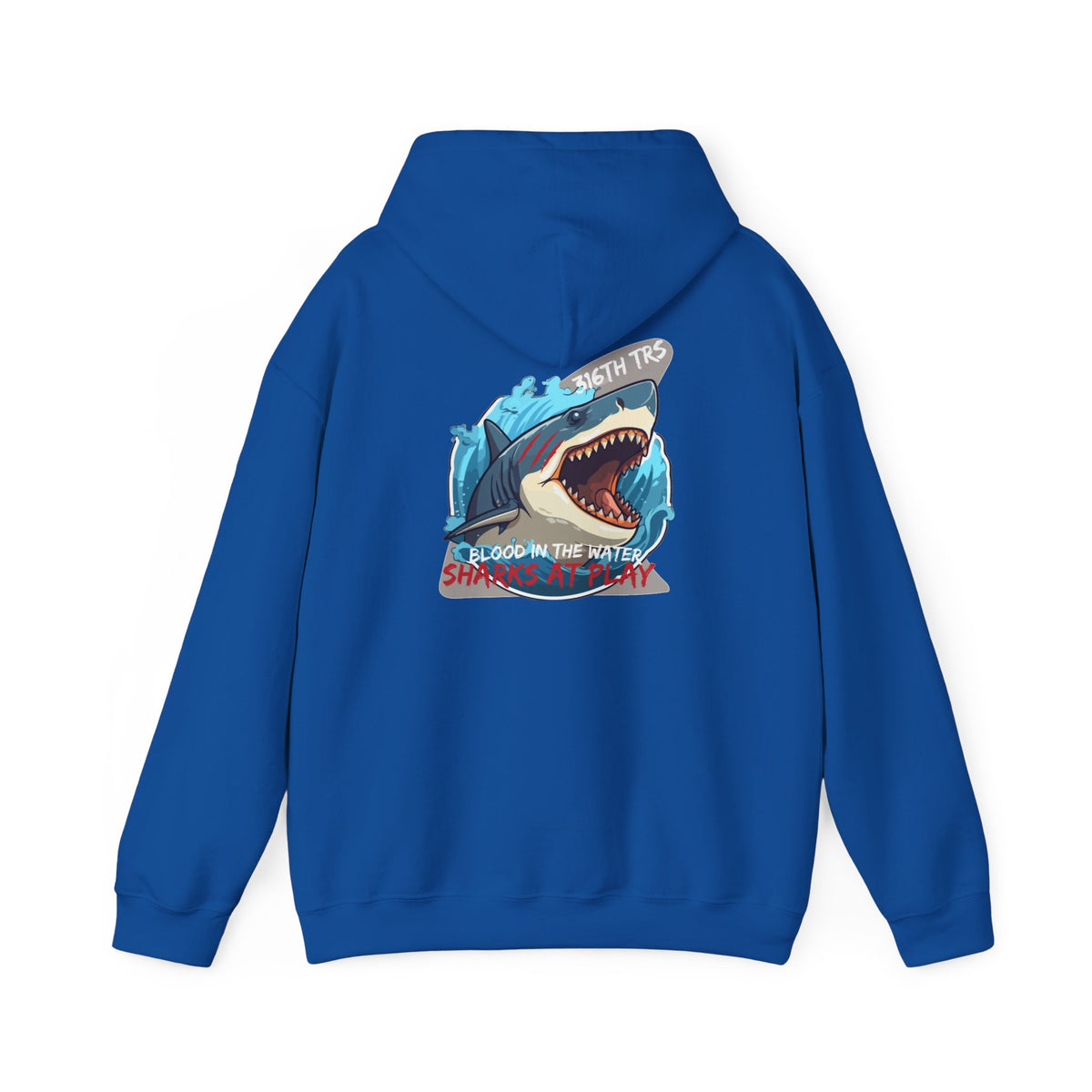 316th TRS Hoodie