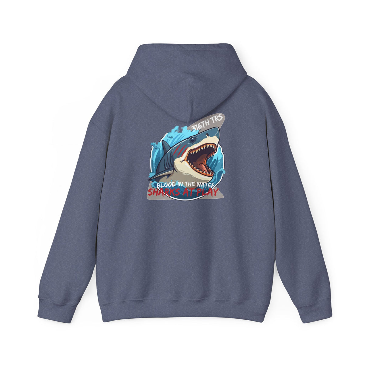 316th TRS Hoodie
