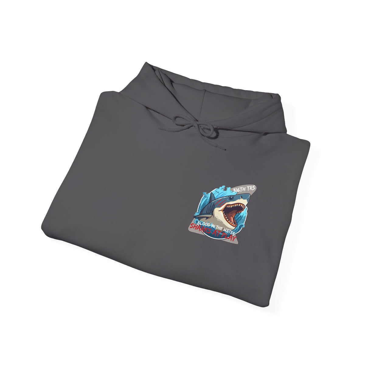 316th TRS Hoodie