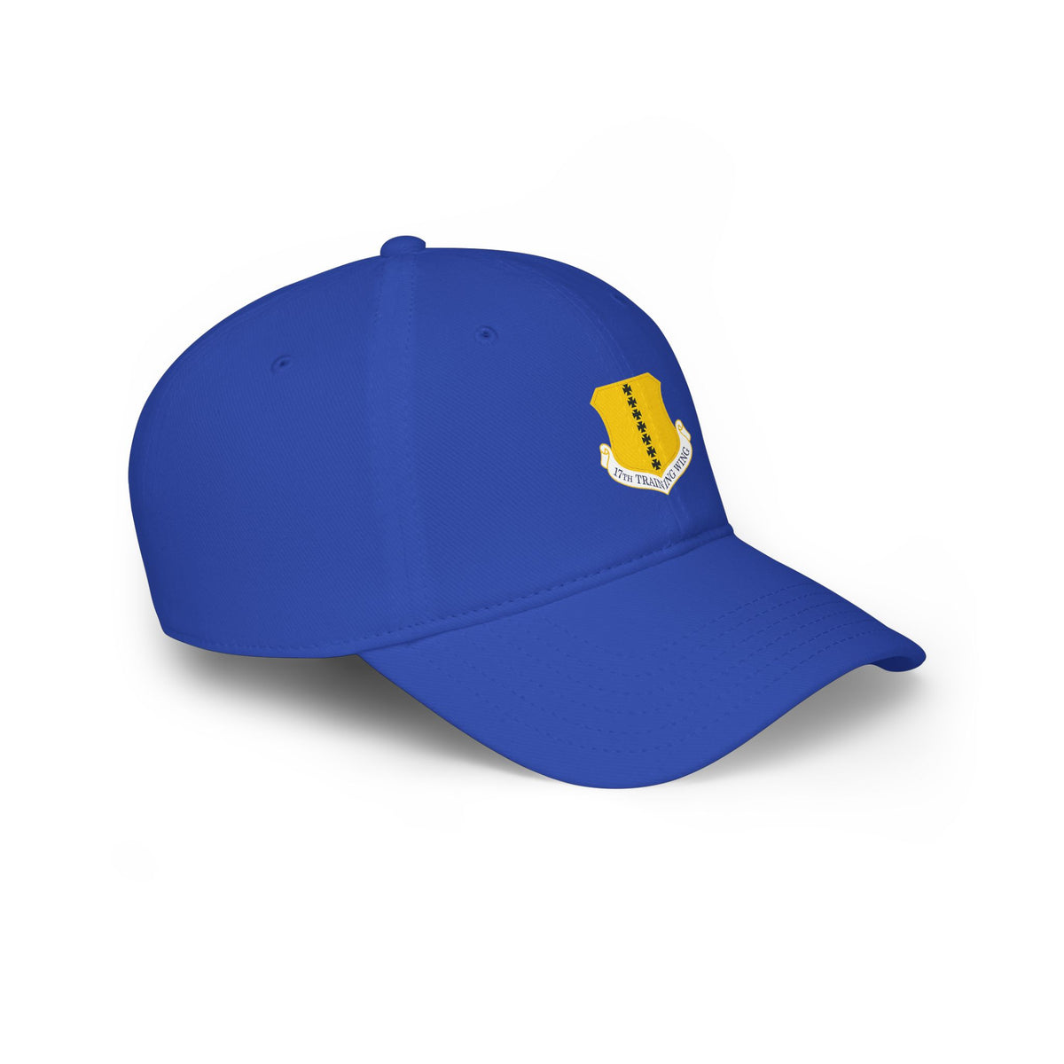 17th Training Wing Cap