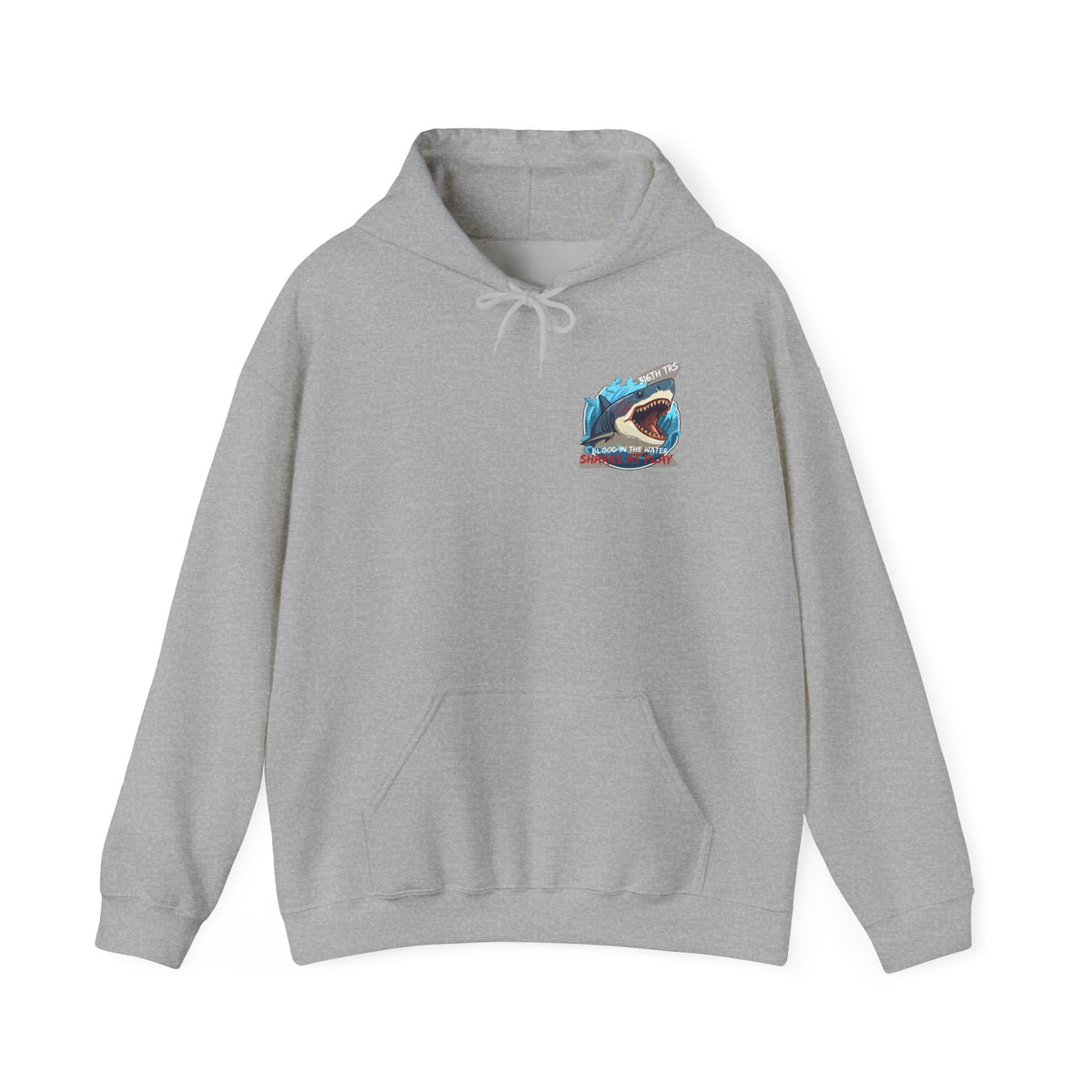 316th TRS Hoodie