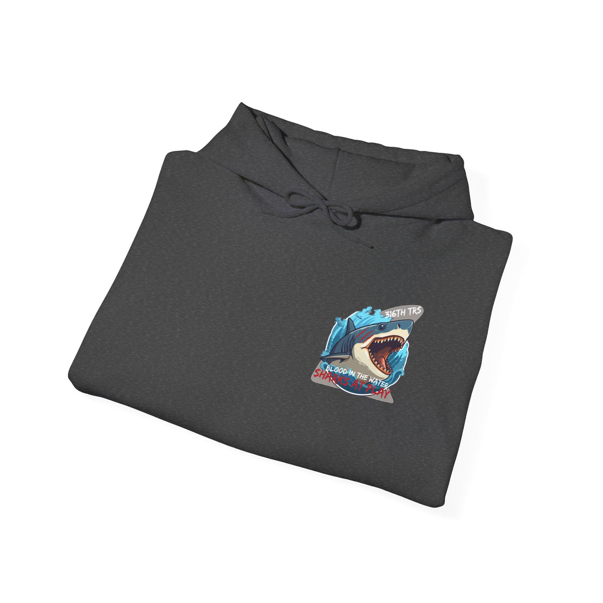 316th TRS Hoodie