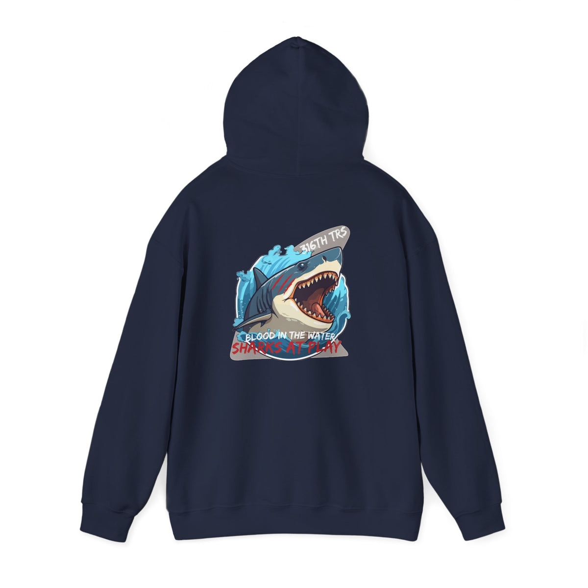 316th TRS Hoodie