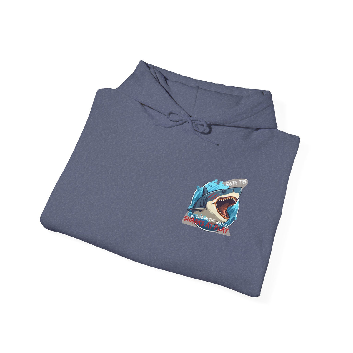 316th TRS Hoodie